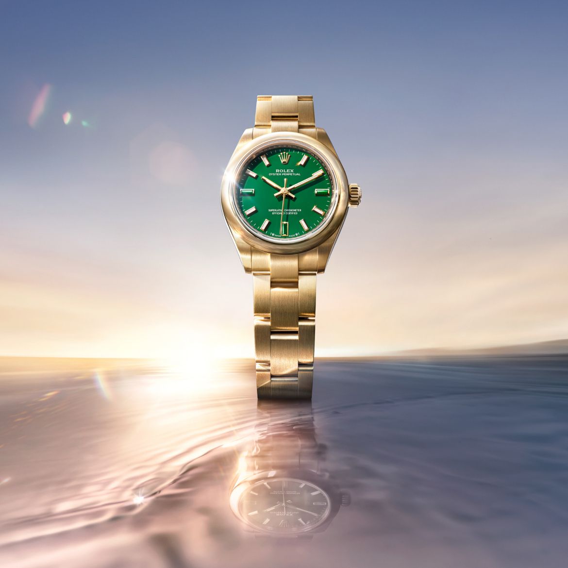 Rolex New Watches 2026 | オオミヤ